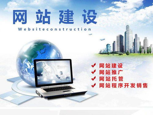 石家庄软件开发公司