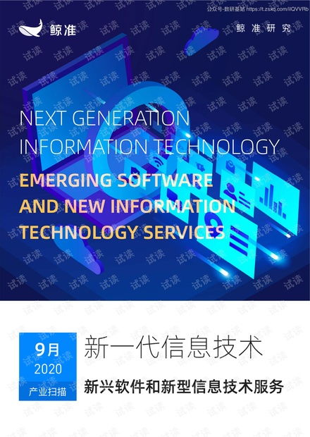 鲸准 新一代信息技术产业 新兴软件和新型信息技术服务 2020.9 36页精品报告2020.pdf资源 csdn文库